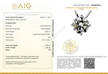 0.62 Ct Fancy Grayish Yellow RoundDiamond Pendant - 14 karaat Witgoud - Collier met hanger Diamant - Geen reserve