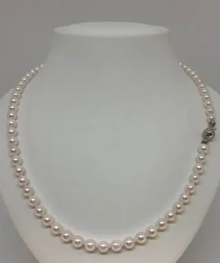 Akoya Pearls 5.5x6mm - 18 karaat Witgoud - Halsketting