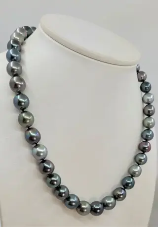 no reserve - Certified Aurora Peacock - 8.0x10.9mm Multi Tahitian Pearls - 14 karaat Witgoud - Halsketting
