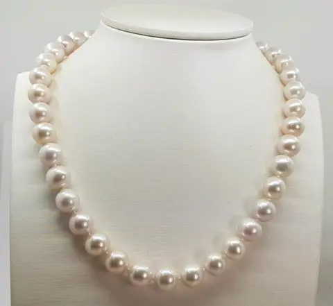 No Reserve - 9x11.5mm Round White Edison Freshwater Pearls - 925 Zilver - Halsketting