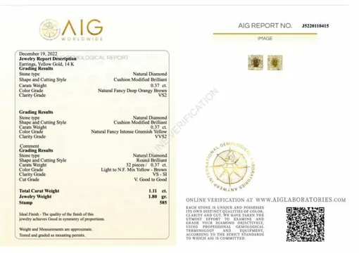 No reserve price - 1.11 tcw - 14 karaat Geel goud - Oorbellen Diamant