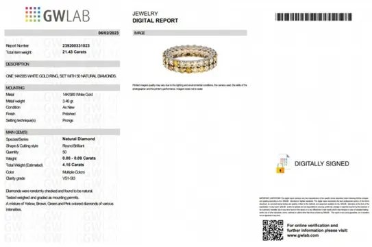 4.16 Double Eternity Fancy Diamonds Band - 14 karaat Witgoud - Ring - GEEN RESERVE