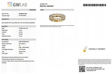 4.16 Double Eternity Fancy Diamonds Band - 14 karaat Witgoud - Ring - GEEN RESERVE