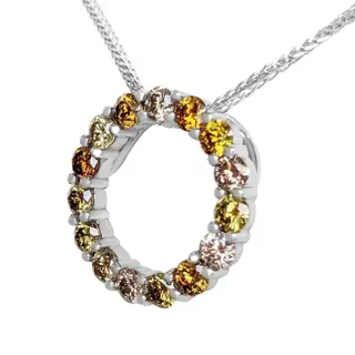 1.00 Cttw Fancy Color Diamonds Circle - 14 karaat Witgoud - Collier met hanger - GEEN RESERVE