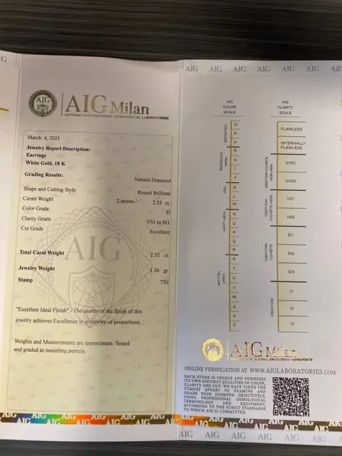 18 karaat Witgoud - Oorbellen - 2.52 ct Diamant