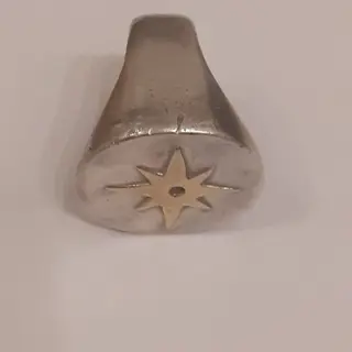 Geel goud, Zilver - Ring