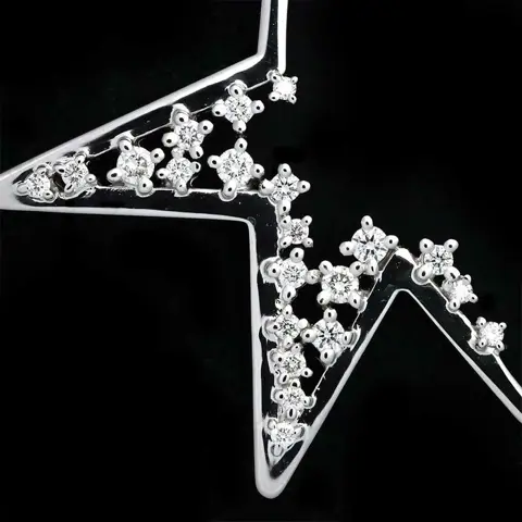 Tasaki Witgoud - Halsketting