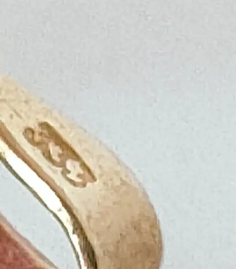 8 karaat Geel goud - Hanger - Granaatstenen