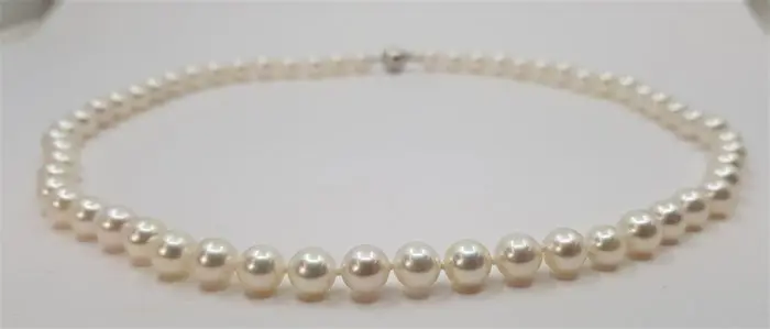 6.5x7mm Bright - 925 Akoya parels, Zilver - Halsketting