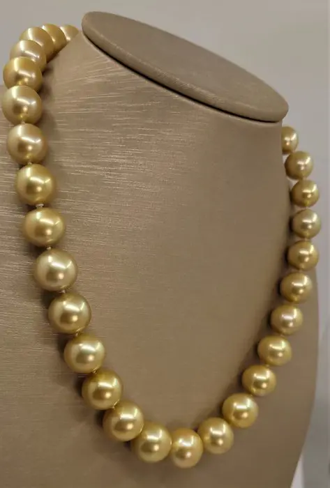 11x14.2mm 24K Golden Saturation South Sea Pearls - 14 karaat Geel goud - Halsketting