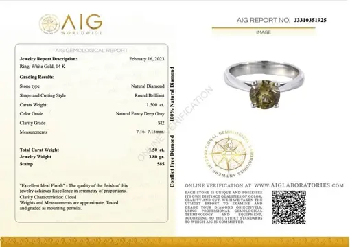 1.50 ct Natural Fancy Deep Gray - 14 karaat Witgoud - Ring - 1.50 ct Diamant - Geen minimumprijs