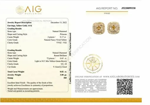 No reserve price - 0.82 tcw - 14 karaat Geel goud - Oorbellen Diamant