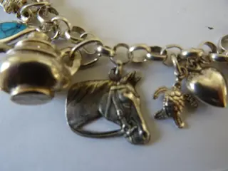 Jasseron/15 bedel/div zilver keuren - 835 Zilver - Armband