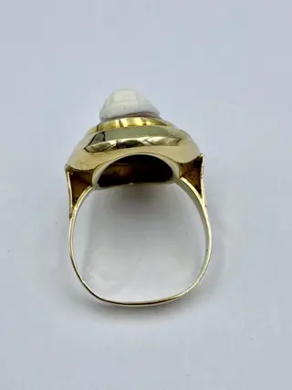14 karaat Geel goud - Ring