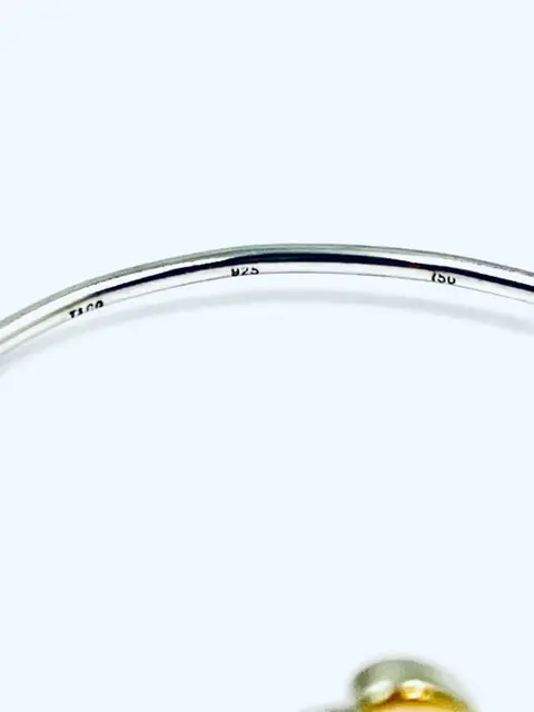 Tiffany & Co. - NO RESERVE PRICE - Two hearts - 18 karaat Goud, Zilver - Armband