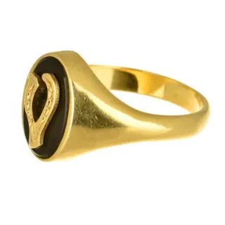 18 karaat Goud - Ring Onyx