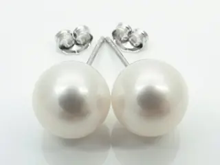 No Reserve Price - South Sea Pearls, Round 9,5 -10 mm - 14 karaat Witgoud - Oorbellen