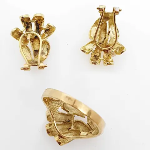 18 karaat Geel goud - Oorbellen, Ring