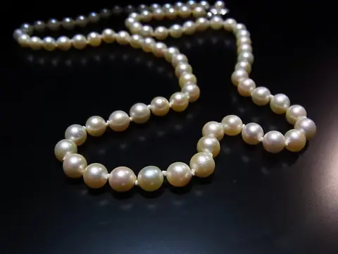 Akoya-Perlenkette in Matinee-Länge - 835 Akoya parels, Zilver - Halsketting - 165.00 ct Akoya parel