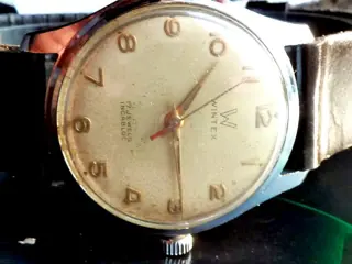 Wintex by ROLEX - classic sport - "NO RESERVE PRICE" - Heren - 1950-1959