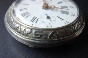 Roskopf - Montre Louis Roskopf PatentAnti- Magnetique - NO RESERVE PRICE - Heren - 1901-1949