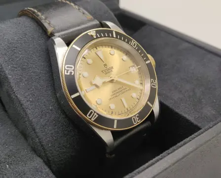 Tudor - Black Bay - Steel/Gold - M79733N-0003 - Heren - 2011-heden