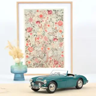 Norev - 1:18 - Austin Healey