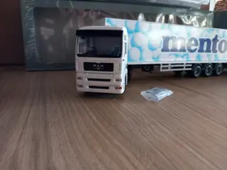 Lion Toys - 1:50 - man - MAN