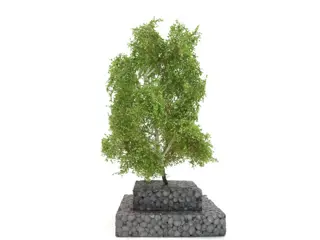 MBR Model H0 - 51-2201/51-2207 - Landschap - 4 Italiaanse populieren and 6 berken