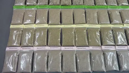 Natuurproduct H0 - Landschap - Grote partij divers strooimateriaal; 84 verpakkingen. 6 verschillende soorten