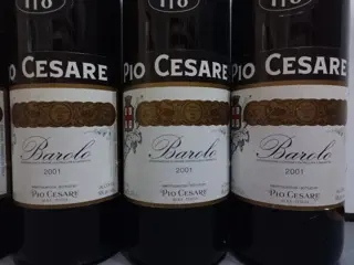 2001 Pio Cesare - Barolo DOCG - 6 Flessen (0.75 liter)