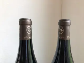 2020 Domaine Bachelet-Ramonet - Bourgondië, Chassagne-Montrachet - 2 Magnums (1.5L)