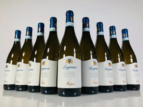 2021 Allegrini, Lugana "Oasi Mantellina" - Veneto - 9 Flessen (0.75 liter)