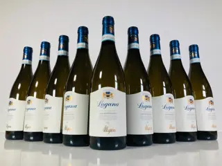 2021 Allegrini, Lugana "Oasi Mantellina" - Veneto - 9 Flessen (0.75 liter)