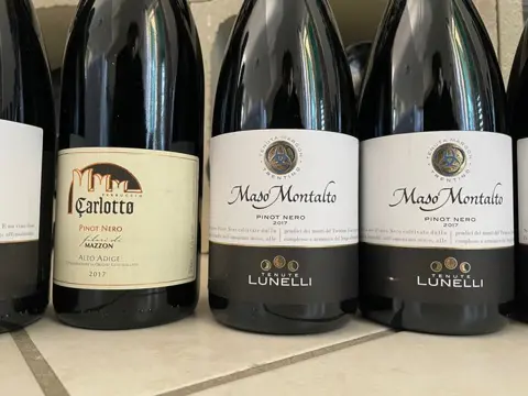 2017 x11 Tenute Lunelli Maso Montalto & 2017 Carlotto Mazzon Pinot Nero - Trentino Alto Adige - 12 Flessen (0.75 liter)