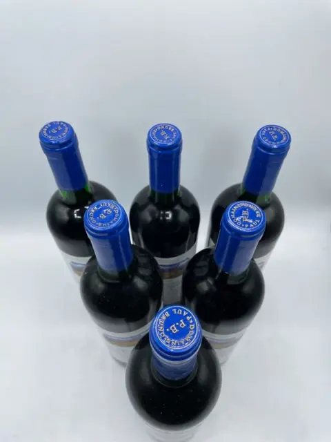 1995 Domaine Paul Bruno, Valle del Maipo - Maipo Valley - 6 Fles (0,75 liter)