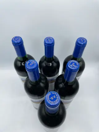 1995 Domaine Paul Bruno, Valle del Maipo - Maipo Valley - 6 Fles (0,75 liter)