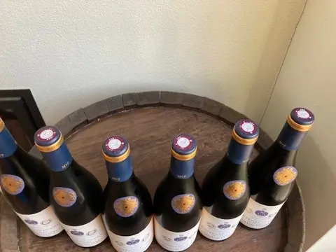 2016 Santenay 1er Cru "La Comme". Mme Veuve Point - Bourgondië - 6 Flessen (0.75 liter)