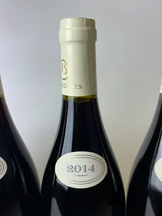 2007 Volnay 1° Cru "Les Pitures" - Michel et Marc Rossignol - Bourgondië - 6 Fles (0,75 liter)