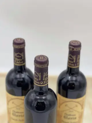2018 Chateau Gloria Saint-Julien - Saint-Julien - 3 Fles (0,75 liter)