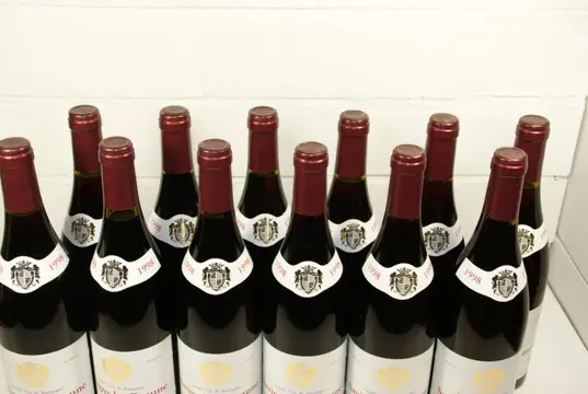 1998 Savigny-les-Beaune, Domaine Dubois Bernard et Fils - Bourgogne - 12 Flessen (0.75 liter)