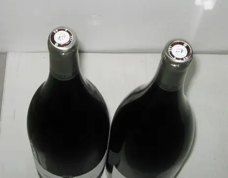 2019 Condrieu "La Loye"- Domaine Jean-Michel Gerin - Rhône - 2 Magnums (1.5L)