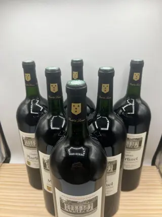 2020 Chateau Martinet - Saint-Emilion Grand Cru - 6 Magnums (1.5L)
