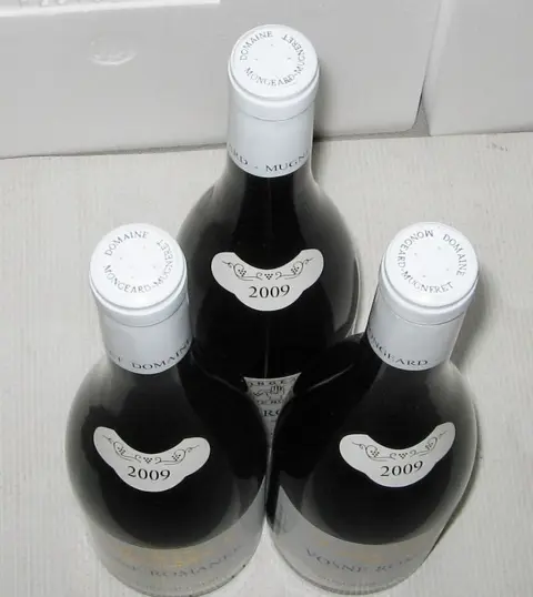 2009 Vosne-Romanée - Domaine Mongeard-Mugneret - Bourgondië - 3 Flessen (0.75 liter)