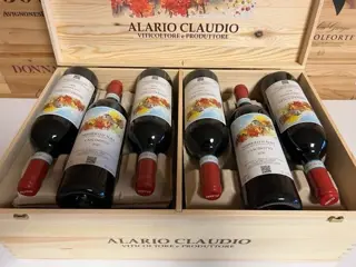 2020 Alario Claudio - Nebbiolo d'Alba "Cascinotto" - Piëmont - 12 Flessen (0.75 liter)