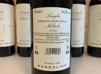 2020 Massolino Langhe Nebbiolo - Piëmont - 6 Flessen (0.75 liter)