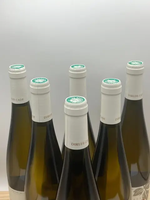 2021 Dirler-Cadé Riesling - Elzas - 6 Flessen (0.75 liter)