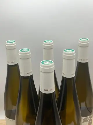 2021 Dirler-Cadé Riesling - Elzas - 6 Flessen (0.75 liter)