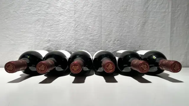 1996 Pago de los Capellanes - Ribera del Duero Crianza - 6 Flessen (0.75 liter)