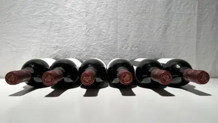 1996 Pago de los Capellanes - Ribera del Duero Crianza - 6 Flessen (0.75 liter)